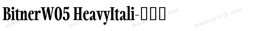 BitnerW05 HeavyItali字体转换